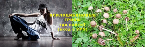 тгк Надым