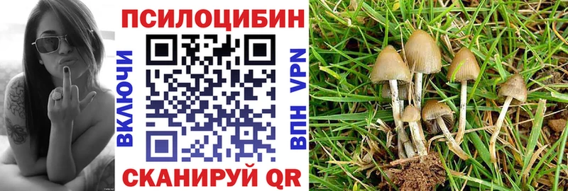 Псилоцибиновые грибы мухоморы Дятьково