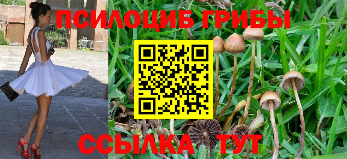 Галлюциногенные грибы мухоморы Дятьково