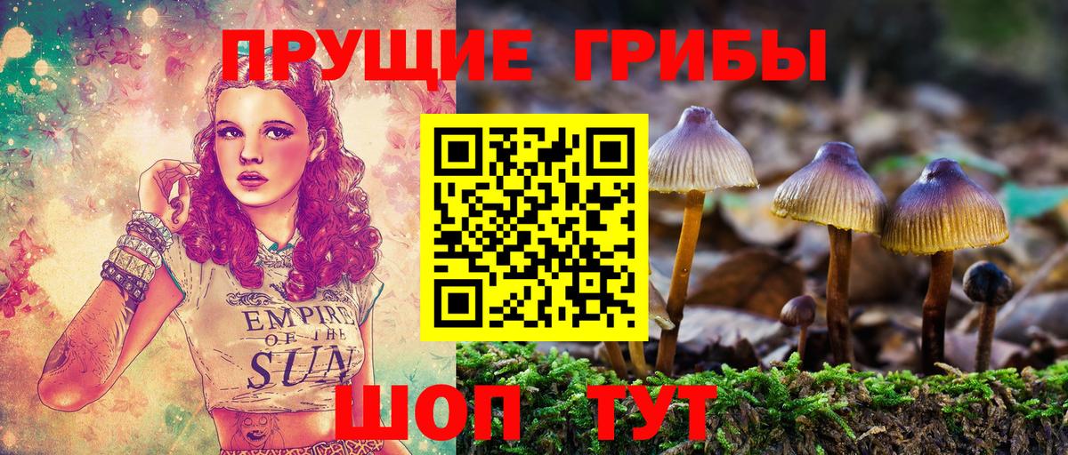 Псилоцибиновые грибы мицелий  Псилоцибиновые грибы GOLDEN TEACHER  Дятьково 