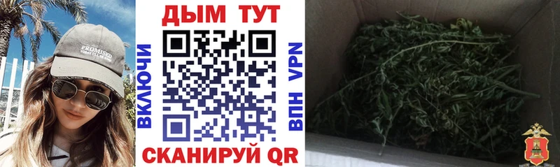 Каннабис SATIVA & INDICA Дятьково