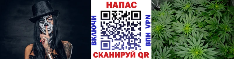 Каннабис планчик  Дятьково 